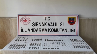 Şırnak’ta tarihi eser operasyonunda 503 sikke ele geçirildi 