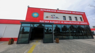 Diyarbakır’da yenilenen Hayvan Bakımevi ve Rehabilitasyon Merkezi açılacak 