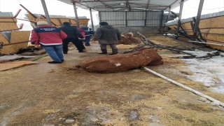 Adıyaman’da kar nedeniyle çatısı çöken çiftlikteki 22 büyükbaş hayvan telef oldu