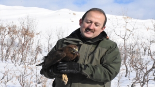 Şırnak’ta tedavisi tamamlanan bayağı şahin doğaya bırakıldı