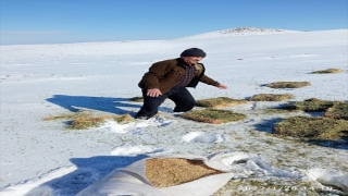 Şanlıurfa’da yaban hayvanları için doğaya 1 ton yem bırakıldı