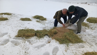 Karacadağ’da yaban hayvanları için doğaya yem bırakıldı