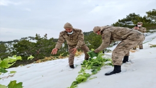 Adıyaman’da yaylalara yaban hayvanları için yem bırakıldı