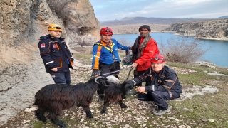 Adıyaman’da kayalıklarda mahsur kalan keçiler AFAD ekiplerince kurtarıldı