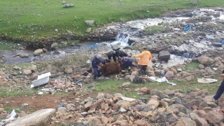 Gaziantep’te dereye düşen ineği itfaiye ekipleri kurtardı