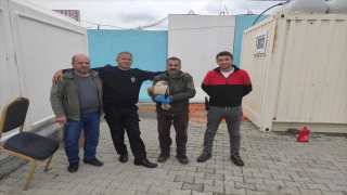 Şanlıurfa’da yaralı bulunan kartal tedavi altına alındı
