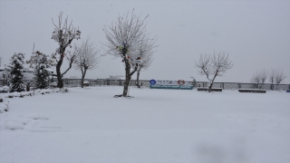 Şırnak’ta kar etkili oldu