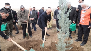 Mardin’de 2 bin fidan toprakla buluşturuldu