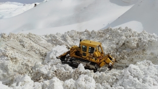 Şırnak’ta kar kalınlığının 5 metreyi bulduğu Faraşin Yaylası’nda yol açma çalışmaları sürüyor