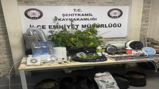 Gaziantep’te evinin odasında uyuşturucu yetiştiren zanlı yakalandı