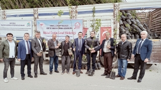 Siirt’te çiftçilere fıstık ve Trabzon hurması fidanı dağıtıldı