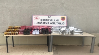 Şırnak’ta uyuşturucu ve kaçakçılık operasyonlarında 113 kişi yakalandı