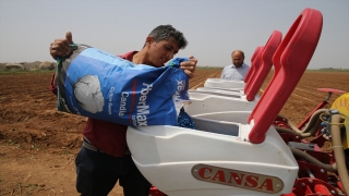 Şanlıurfa’da pamuk tohumları toprakla buluşmaya başladı