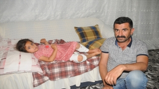 Şırnak’ta sahipsiz köpeğin saldırısına uğrayan kız çocuğu yaralandı