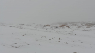 Nemrut Dağı’nda kar yağışı etkili oldu