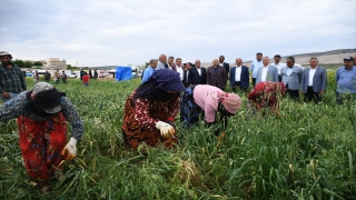 AK Parti Milletvekili Erdoğan, Dünya Çiftçiler Gününü kutladı