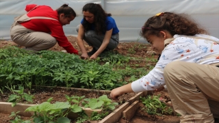 Özel öğrenciler sebze, meyve ve çiçek yetiştirerek becerilerini geliştiriyor