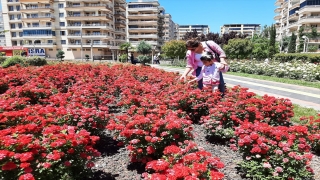 Bağlar ilçesindeki ”Gül Parkı” huzurla vakit geçirmek isteyenlerin yeni adresi 