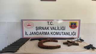 Şırnak’ta uyuşturucu ve kaçakçılık operasyonlarında 15 şüpheli yakalandı
