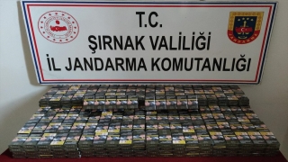 Şırnak’ta uyuşturucu ve kaçakçılık operasyonlarında 15 şüpheli yakalandı
