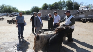 Tarım ve Orman İl Müdürü Atalar, hayvan pazarında üreticilerle görüştü