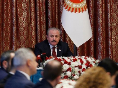 Meclis kuruluşunun 100. yıl dönümüne hazırlanıyor
