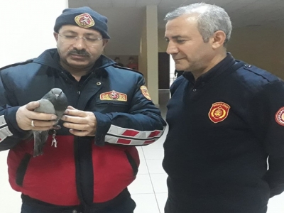 Duvara sıkışınca imdadına itfaiye yetişti!