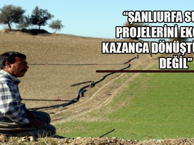 4 maddede Urfa tarımını yeniden canlandırmak