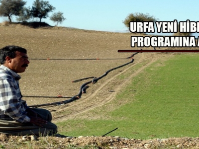 Urfa çiftçisini zor bir yıl bekliyor