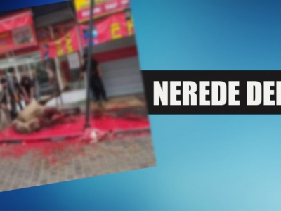 Urfa’da “bu kadarına da pes” dedirten olay!