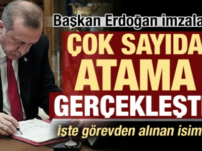 Cumhurbaşkanı Erdoğan'dan kritik atamalar!