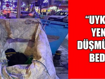 “İnsanı yaşat ki devlet yaşasın!”
