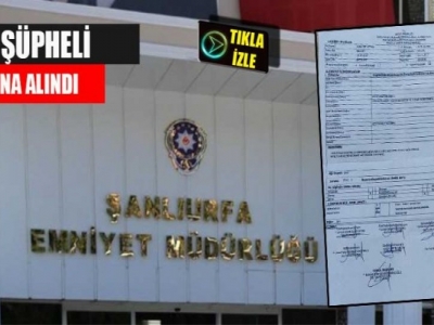 Şanlıurfa dâhil 4 ilde sahte evrak operasyonu!
