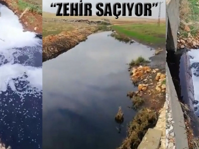 “Kimyasal sular hayatı tehdit ediyor”