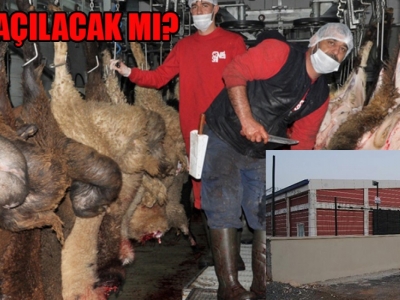 Kaçak kesime karşı önlem alınacak!