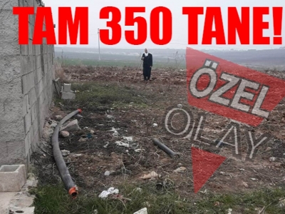Tüm emeği boşa gitti! Yardım bekliyor!