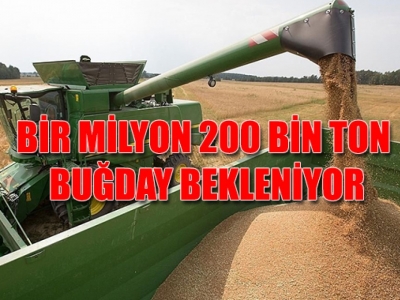 İthalatı Şanlıurfa önleyecek