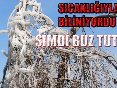 Harran bile dondu!