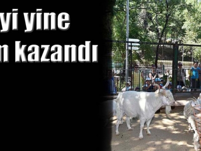 Melih Gökçek'in dönemi yine gündemde!