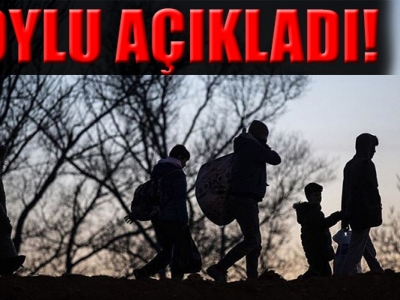 Kaç göçmen Türkiye'den ayrıldı?