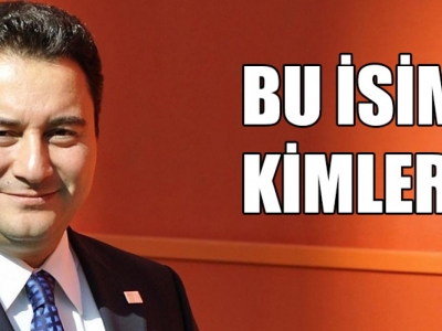 Babacan'ın Partisinde 4 Urfalı isim yer alıyor