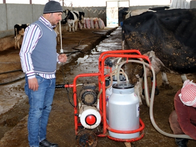 Suriyeli veteriner Urfa'da çiftlik kurdu