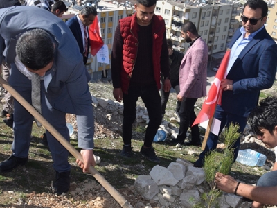 Birecik'te şehitler anısına hatıra ormanı oluşturuldu