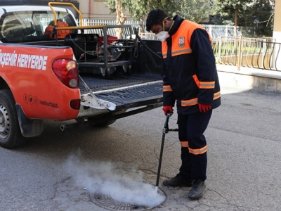 Şanlıurfa'da ilaçlama çalışmaları başladı