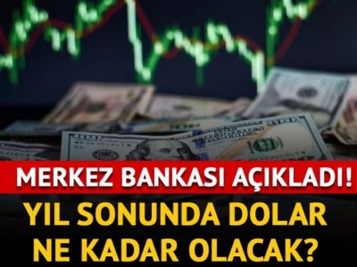 Yıl sonunda dolar ne kadar olacak? Merkez Bankası açıkladı