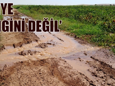 “Tarımda vahşi sulamaya son verilmeli”