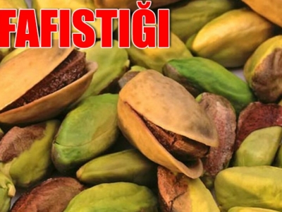 Urfa fıstığı gündem oldu!