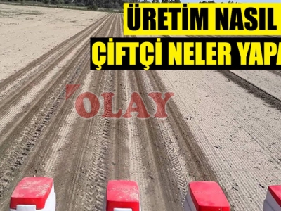 Koronavirüs tarımı da etkileyecek mi?