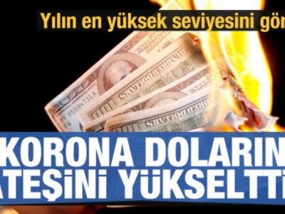 Doların ateşi yükseldi, yılın en yüksek seviyesinde