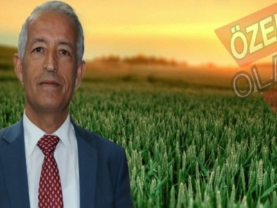 Dolu yağışı hububata yaradı, ağaçlara zarar verdi